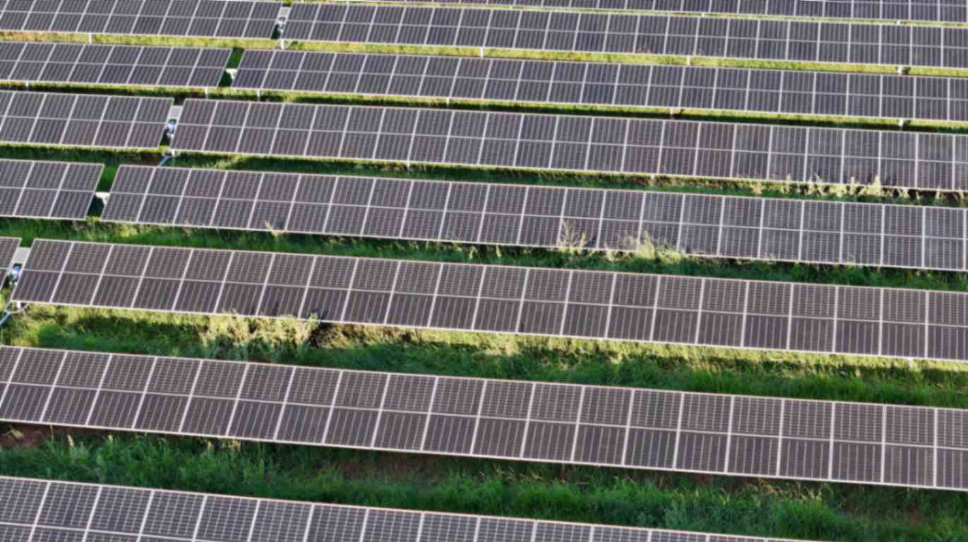 solar placed on a green field in rows at a solar farm