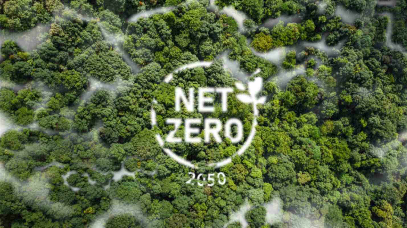 Net Zero Using Solar: A Step Towards a Sustainable Future